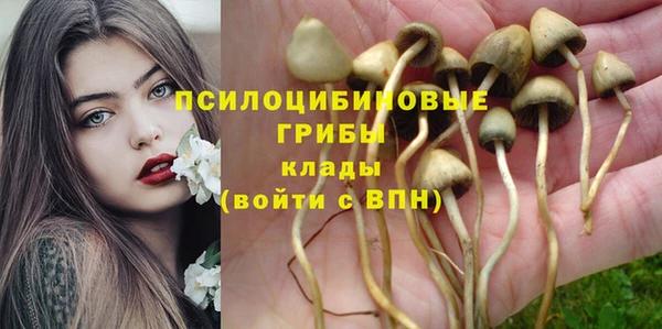 прущие грибы Верхнеуральск